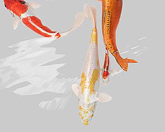 《Dusk Diver 酉闪町2 昆仑灵动》巴黑&黎维妲人物技能介绍